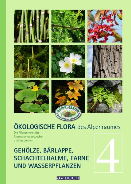 Ökologische Flora des Alpenraumes, Band 4