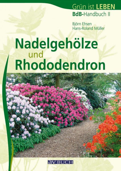 Nadelgehölze und Rhododendron
