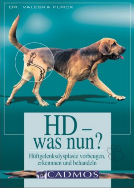 HD – was nun?