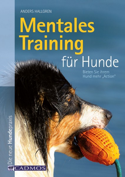 Mentales Training für Hunde
